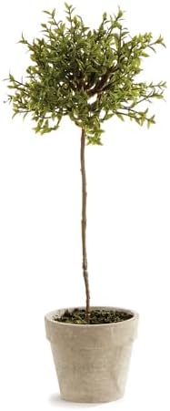 Napa Home Garden Thyme Topiary 13 Inch