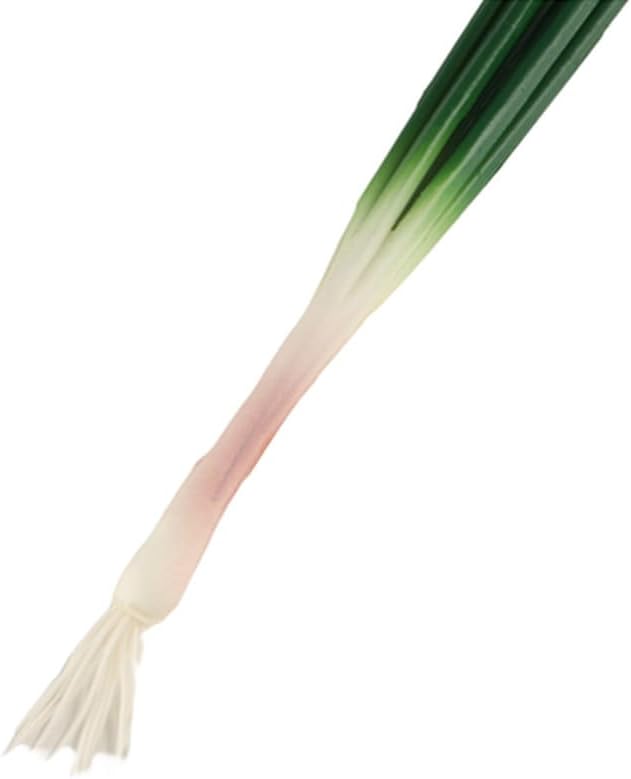 Kopida Artificial Green Onions 4 Pcs Decor Prop