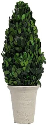 Creative Co Op Boxwood Topiary in Clay Pot