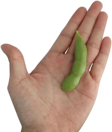 XGNG 24PCS Artificial Soybean Pods for Kitchen Display