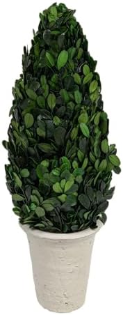 Creative Co Op Boxwood Topiary in Clay Pot