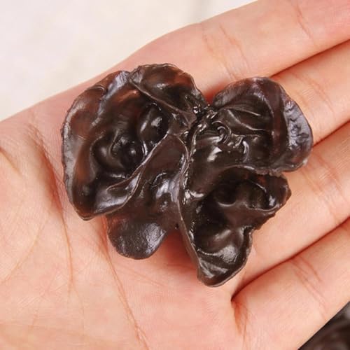 LUOZZY Artificial Black Fungus 15pc Display Props