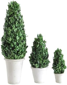 Creative Co Op Boxwood Topiary in Clay Pot