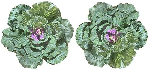 Admired By Nature Artificial Cabbage Plant Set 2 Pc Green