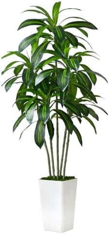 Artificial Dracaena Tree with White Tall Planter