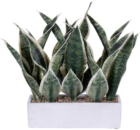 Vickerman 725696-15 Green Snake Plant White Cement Pot Home Office Bushes