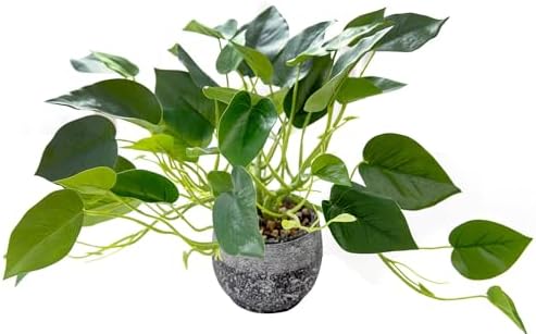 AlphaAcc Artificial Ivy Plant in Rustic Black Cement Pot