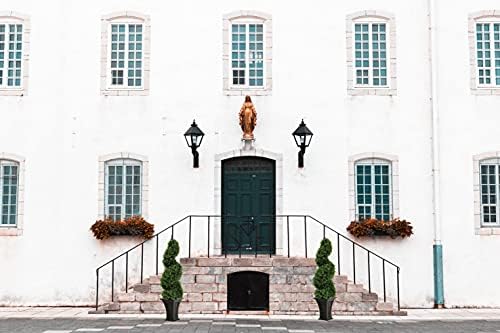35 Inch Outdoor Boxwood Spiral Faux Topiary Trees Set of 2