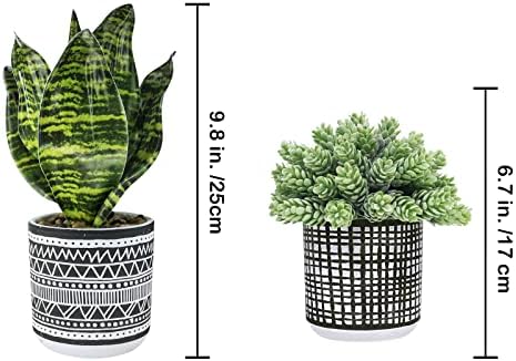 Winlyn 3 Pcs Artificial Succulents Hanging Plants Greenery Decor Set