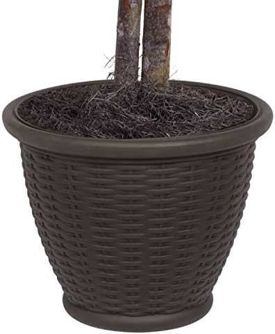 Vickerman 4 Foot Artificial Frosted Maple Bush with Brown Container
