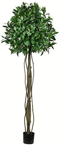 Vickerman Artificial Bay Leaf Tree 6 Feet Tall Green Indoor Topiary
