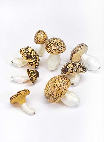 Serene Spaces Living Set of 20 Decorative Mushrooms