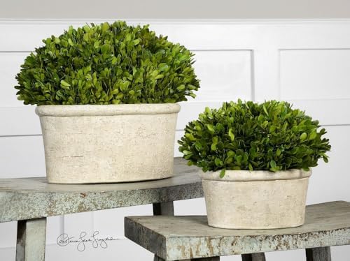 Uttermost 60107 Oval Domes Preserved Boxwood Set of 2