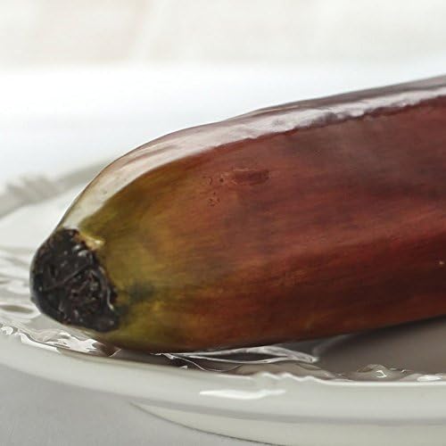 Factory Direct Craft Realistic Artificial Red Bananas Pack of 6