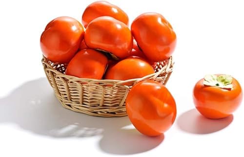 6PCS Artificial Fruits and Vegetables for Decor and Teaching