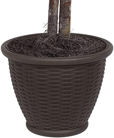 Vickerman 4 Foot Artificial Silver Maple Bush with Decorative Container