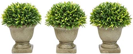 Set of 3 Artificial Podocarpus in Concrete Pot