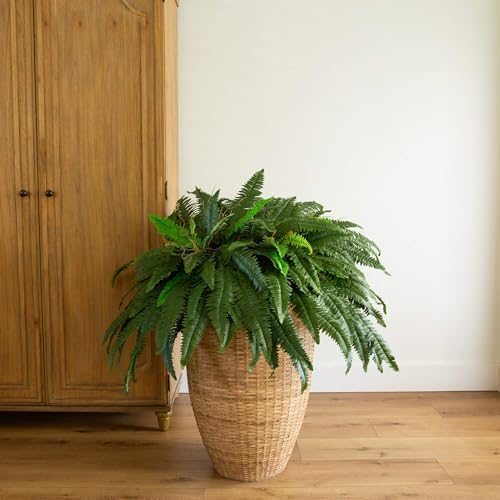 Nearly Natural 48-In Artificial Boston Fern Set of 2