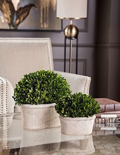 Uttermost 60107 Oval Domes Preserved Boxwood Set of 2