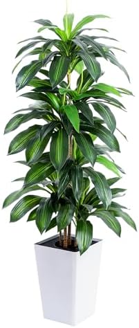 Flowworld Artificial Dracaena Tree 5ft Tall with White Planter