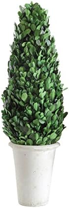 Creative Co Op Boxwood Topiary in Clay Pot