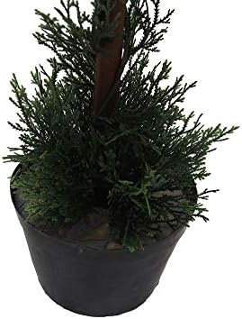 Vickerman 3 Foot Artificial Cedar Topiary Double Ball Tree