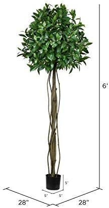 Vickerman Artificial Bay Leaf Tree 6 Feet Tall Green Indoor Topiary