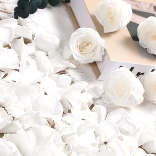 Tavkite Dried Rose Petals for Wedding Decor