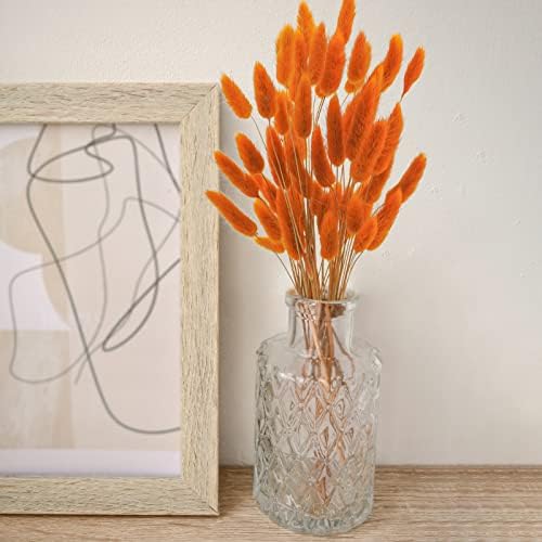 Uieke 17 Natural Bunny Tails Dried Flowers Orange 50 Pcs