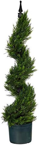 Nearly Natural 3ft Cypress Spiral Artificial Tree