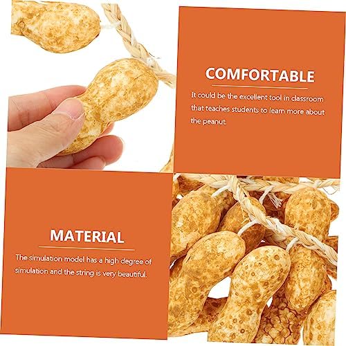Wakauto 5Pcs Lifelike Hanging Peanut String Decor