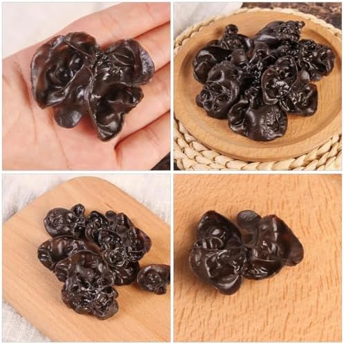 LUOZZY Artificial Black Fungus 15pc Display Props