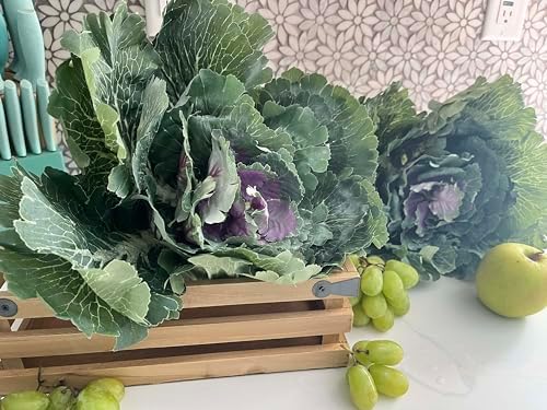 Admired By Nature Artificial Cabbage Plant Set 2 Pc Green