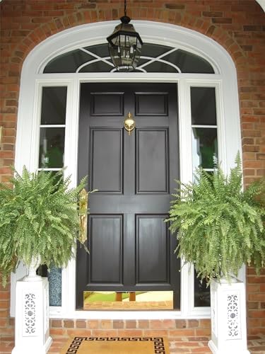 UV Resistant Lifelike Artificial Boston Fern Set of 2