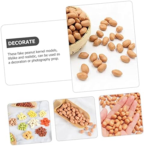 Happyyami Artificial Peanut Kernels for Photography Props