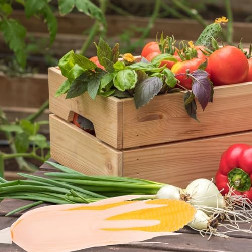 Ciieeo 6pcs Artificial Corn Models for Home Decoration