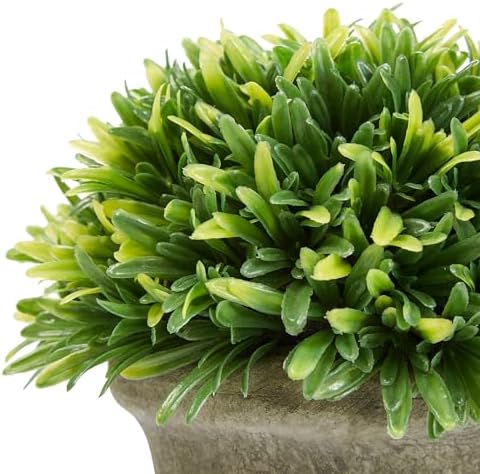 Set of 3 Artificial Podocarpus in Concrete Pot