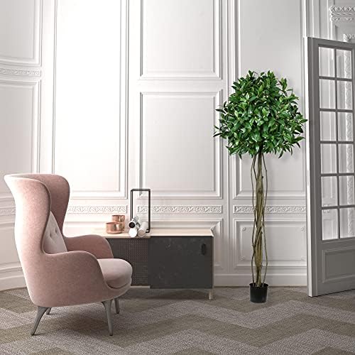 Vickerman Artificial Bay Leaf Tree 6 Feet Tall Green Indoor Topiary