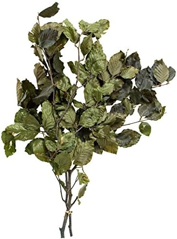 SuperMoss 12020 Dried Beech Flowers 35oz