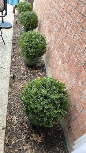 24 Inch Boxwood Ball Artificial Topiary Potted Plant