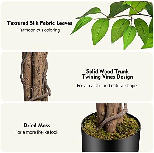 62ft Ficus Artificial Tree with 3 Trunks and Dried Moss