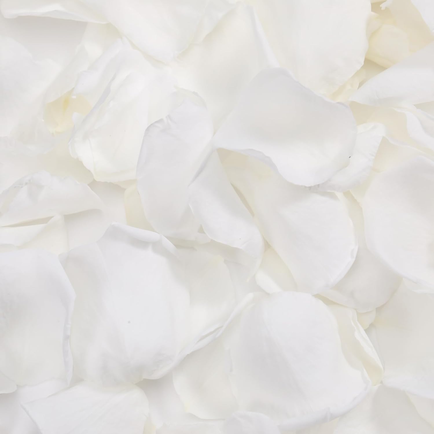 Tavkite Dried Rose Petals for Wedding Decor