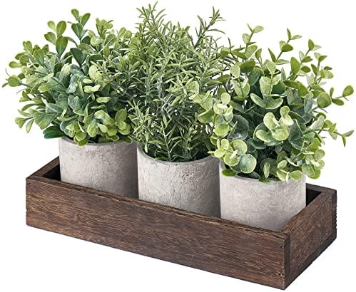 Dahey 3 Pack Mini Artificial Eucalyptus Plants with Wood Tray