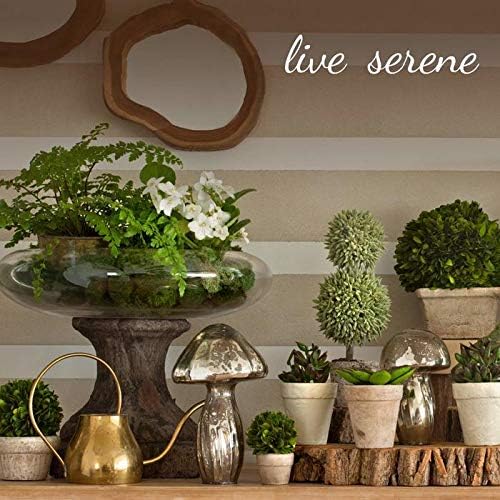 Serene Spaces Living Set of 20 Decorative Mushrooms