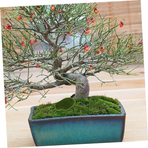 12Pcs Artificial Mossy Stone Props for Garden and DIY Crafts