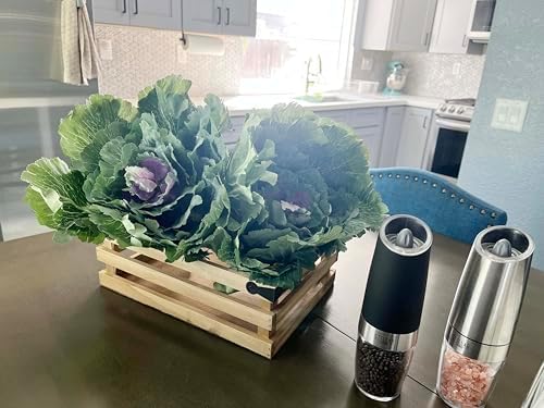 Admired By Nature Artificial Cabbage Plant Set 2 Pc Green