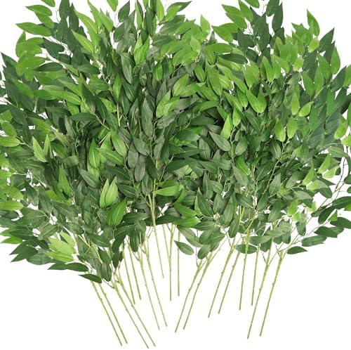Artificial Italian Ruscus Greenery Stems 20 Pack