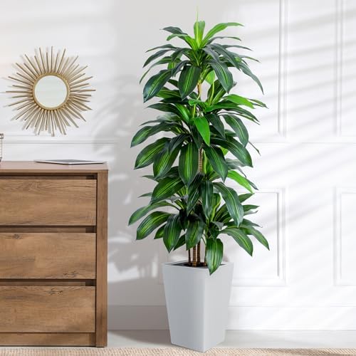 Flowworld Artificial Dracaena Tree 5ft Tall with White Planter