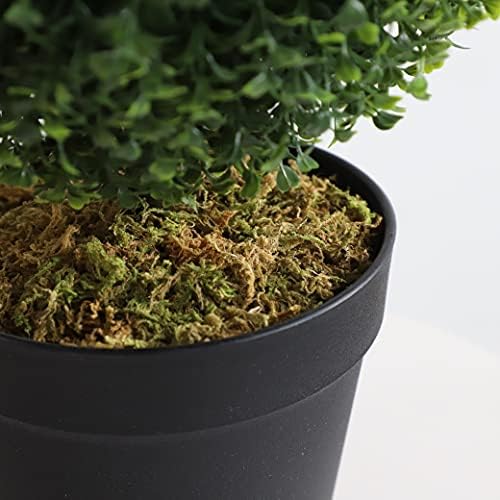 Momoplant 2 Pack Triple Ball Boxwood Topiaries