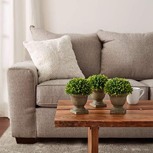 Set of 3 Artificial Podocarpus in Concrete Pot